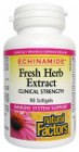 Natural Factors: ECHINAMIDE Anti-Cold 90...