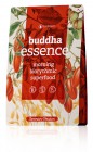 ENERGY CZECH REPUBLIC a.s. - Buddha esse...