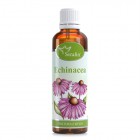 Serafin: tinktura z bylin Echinacea 50 ml