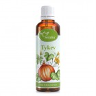 Serafin: tinktura z bylin Tykev 50 ml